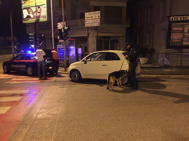 Isernia: blitz antidroga carabinieri, tre arresti