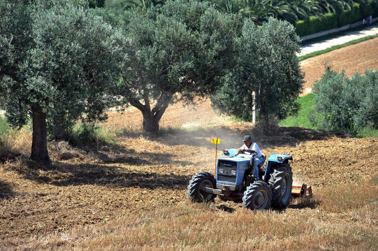 Fondazione Enpaia: in 2018 +2,8% iscritti