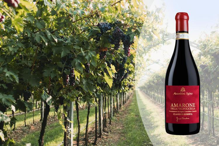 L’Amarone della Valpolicella e il mercato del vino prima e dopo il coronavirus