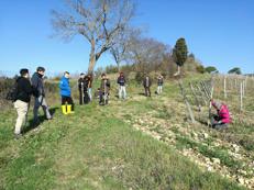 A Scuola per contadini nel Chianti, e 90% trova lavoro