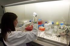 Laboratori della NOVARTIS di Siena (Fotogramma)