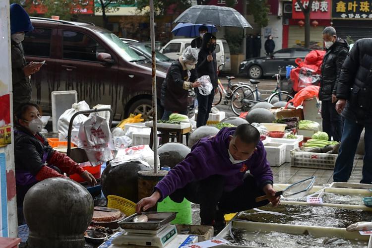 Il mercato di Wuhan