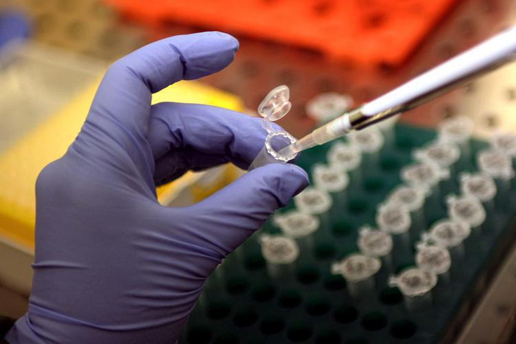 Laboratorio (Fotogramma)