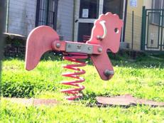 Immagine di repertorio - FOTOGRAMMA