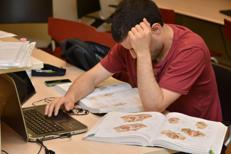 Immagine di repertorio - FOTOGRAMMA