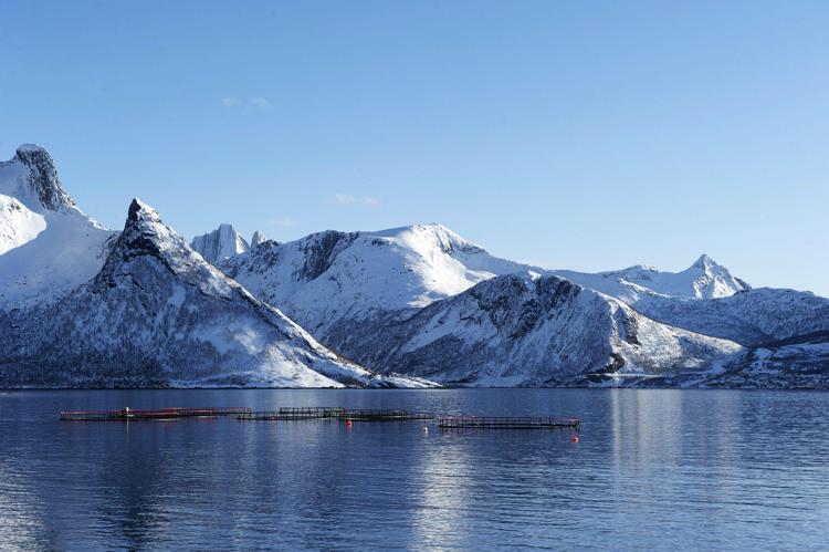 L'acquacoltura norvegese si conferma ai primi posti dell’Indice Coller FAIRR