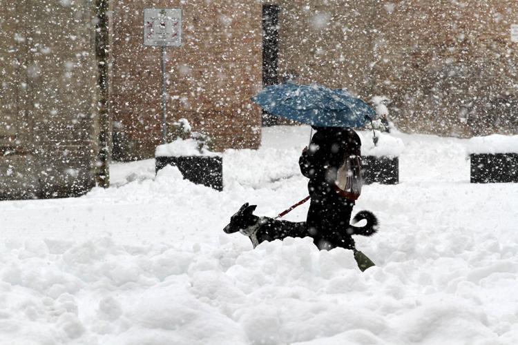 Una persona porta a spasso il cane sotto la neve - Fotogramma