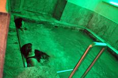 Immagine di repertorio - (Fotogramma)