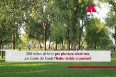 Pnrr, l'Italia non pianta alberi: cosa rischia