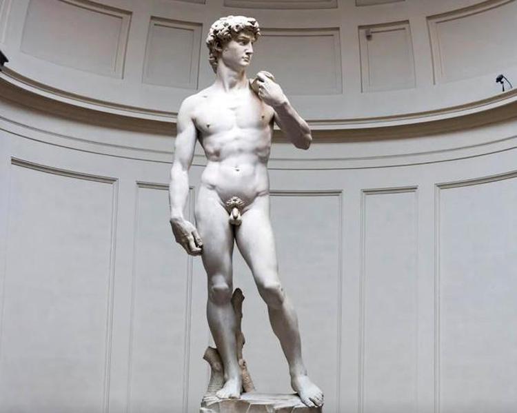 il David di Michelangelo (Fotogramma)