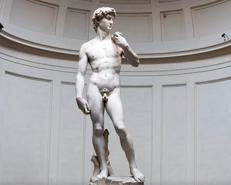 il David di Michelangelo (Fotogramma)