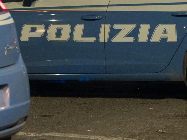 Auto della polizia - (Fotogramma)