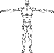 Foto di intographics da Pixabay