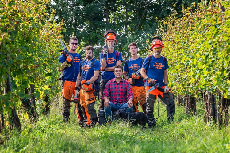 Vino, a scuola di dendrochirurgia in vigna con i vine master pruners Simonit&Sirch