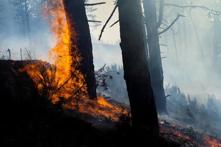 Incendi Calabria, Occhiuto: 