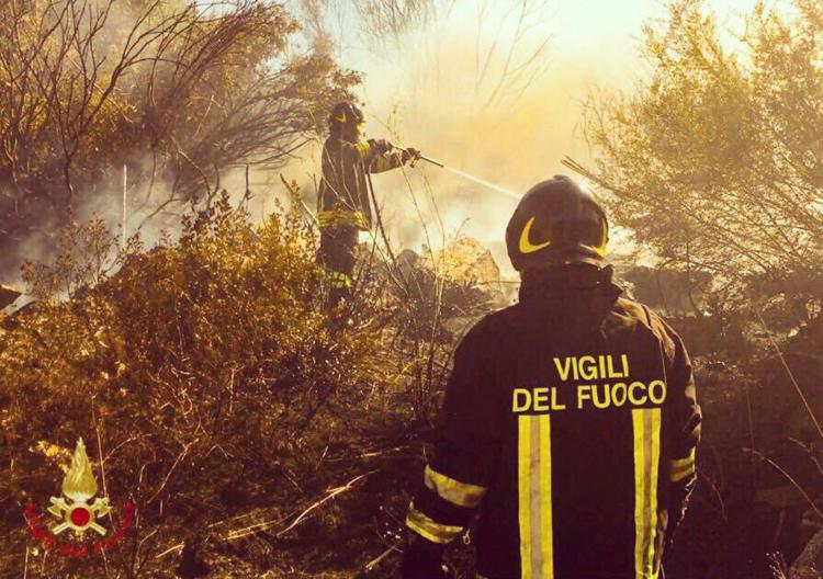 Incendi Puglia, chiesto lo stato d’emergenza. Ancora fiamme sul Gargano