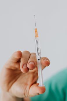  - Karolina Grabowska