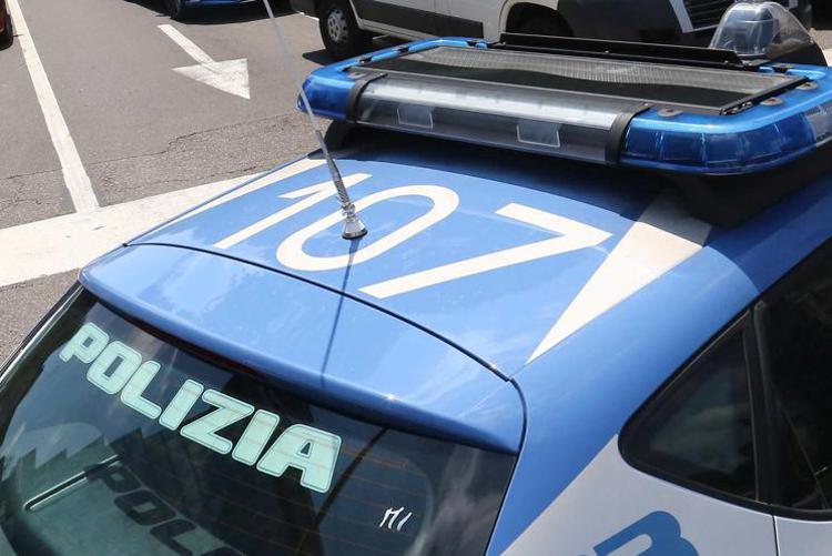 Volante della polizia - (Fotogramma)