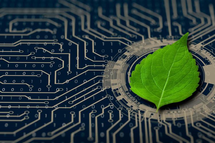 Foglia verde su rete di chip - Canva