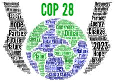 Cop 28