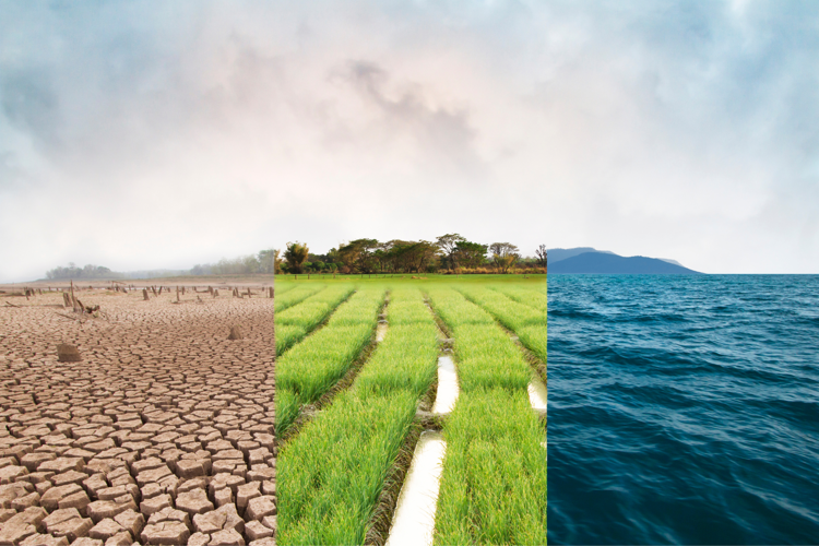 Cambiamenti climatici