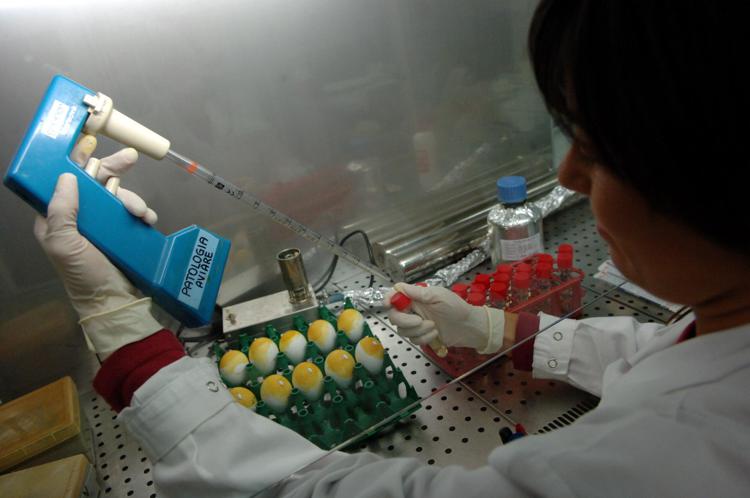 Laboratorio di ricerca - FOTOGRAMMA