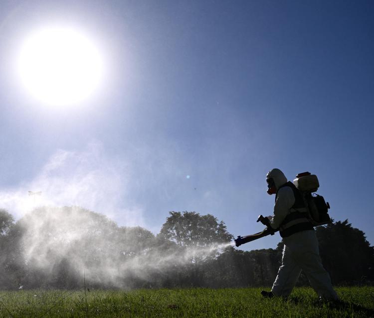 Disinfestazione contro la Dengue, immagine di repertorio (Fotogramma)