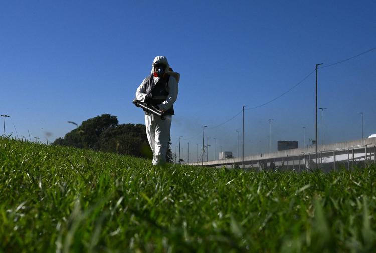 Disinfestazione da Dengue (Afp)