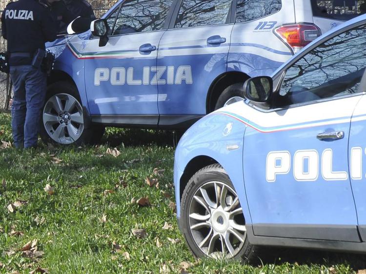 Auto della polizia (Fotogramma)