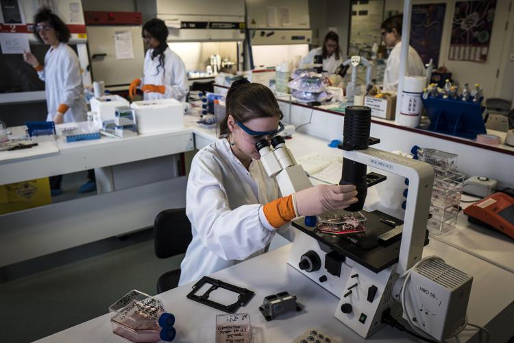 Laboratorio - AFP