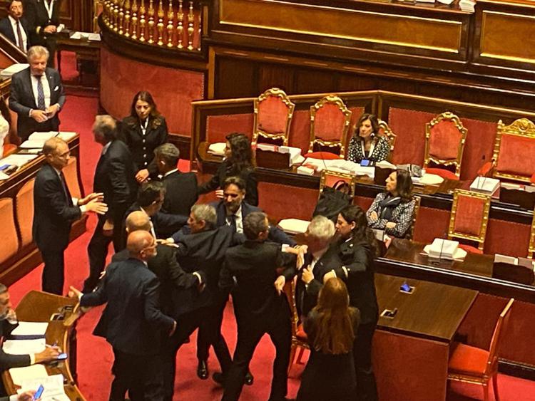 Bagarre in Aula Senato  - (Adnkronos)