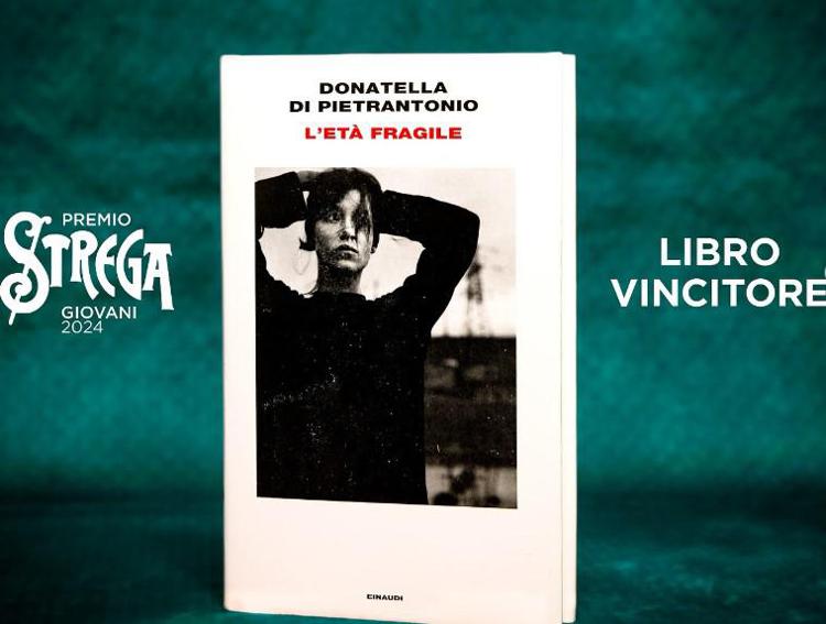 La copertina di 'L'età fragile' di Donatella Di Pietrantonio - (Da Instagram)