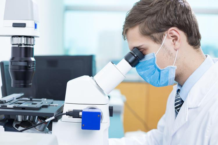 Melanoma, ecco l'immunoncologia di precisione: nuovi biomarcatori predittivi