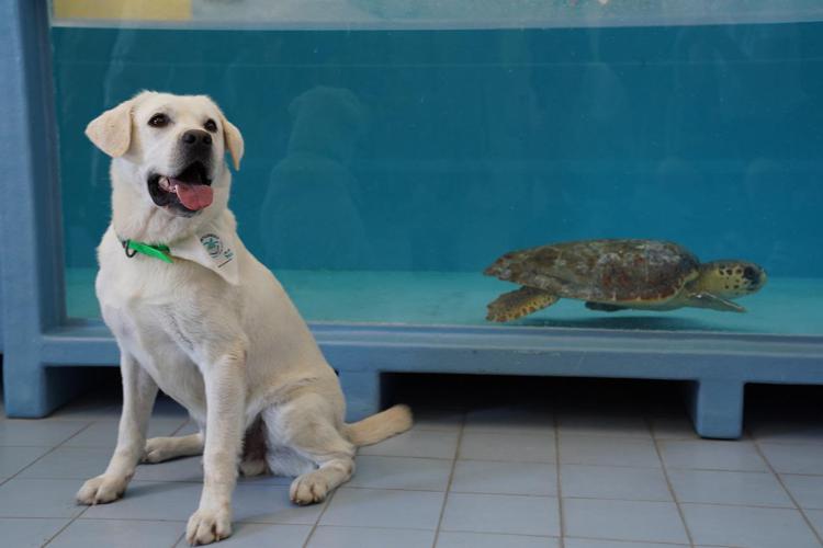 Paco e Tina - (foto Legambiente)