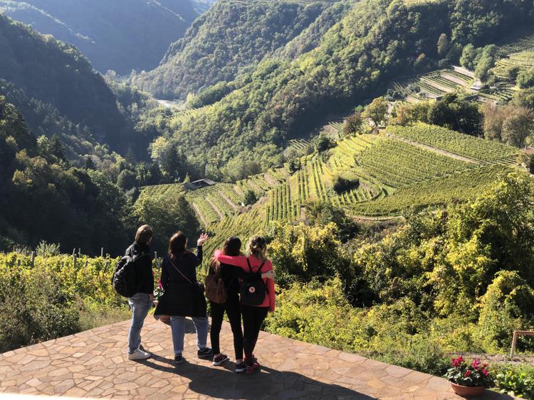 Enogastronomia, la Strada del vino e dei sapori del Trentino forma ambasciatori di eccellenze