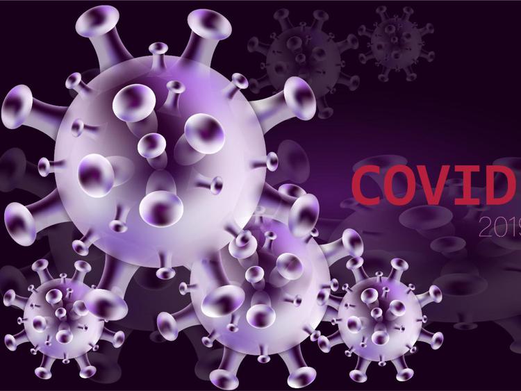 Il virus Covid - 

