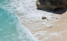 Ferragosto, Guarini (Fisascat):