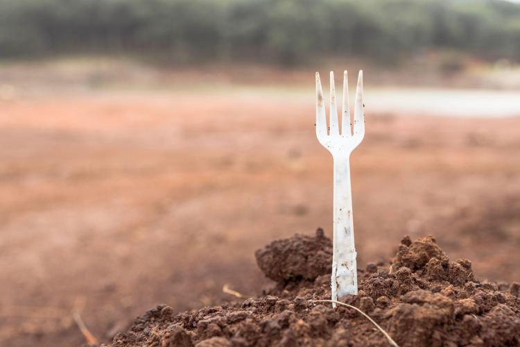 Patto contro inquinamento da plastica, università di Pavia sigla accordo con Plastic Free