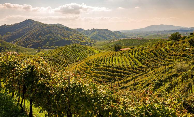 Unesco, Airbnb e Associazione Patrimonio Colline del Prosecco, patto per promuovere il sito