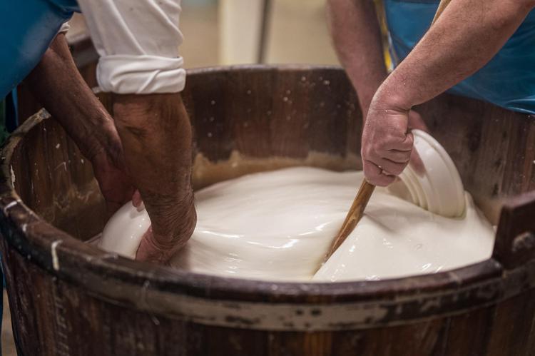 Napoli capitale della mozzarella di bufala con il 1° congresso internazionale