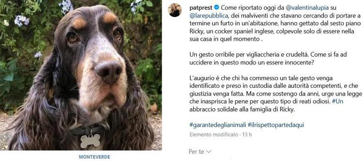 Morte del cane Ricky a Roma, è giallo: si cercano immagini telecamere