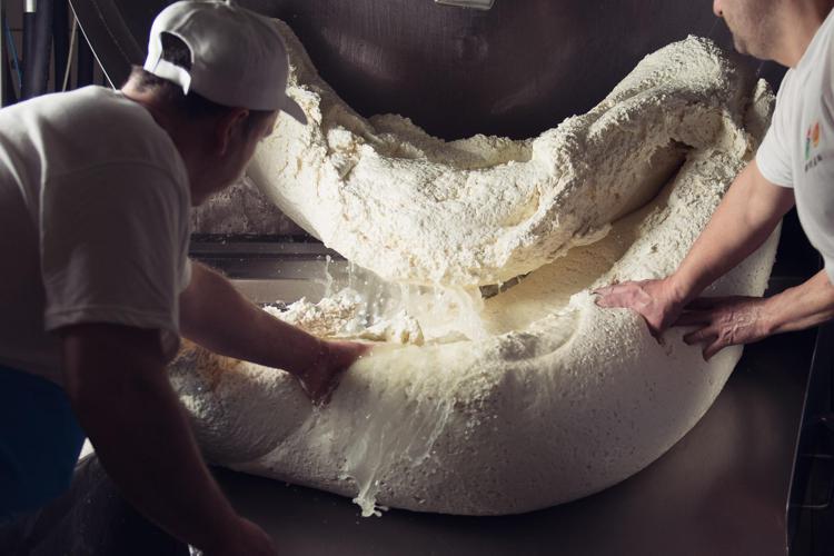 Mozzarella Bufala Campana dop, al via nuova edizione del corso per casari del futuro