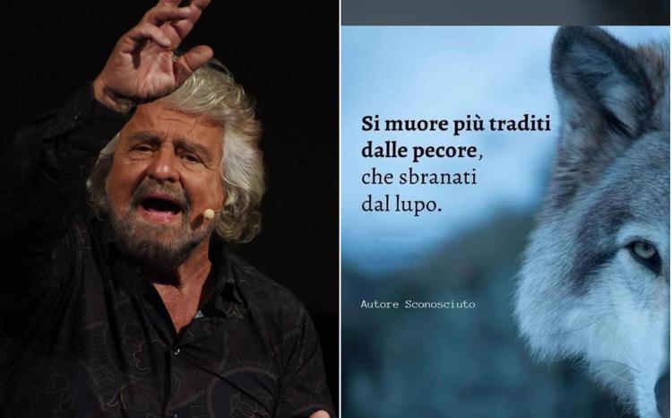 Grillo punge su Whatsapp: 