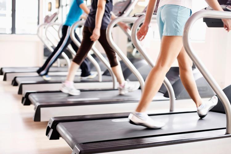 Donne in palestra (Foto ) 