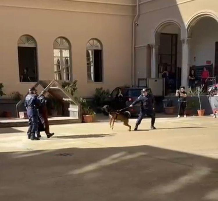 Le immagini della simulazione della Polizia municipale