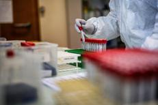 Provette in laboratorio - Afp