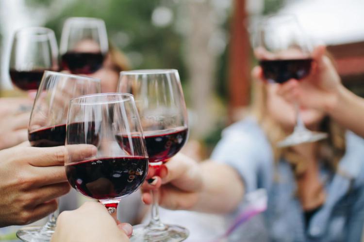 Per un buon vino è questione (anche) di batteri: lo studio dell'Università di Bologna