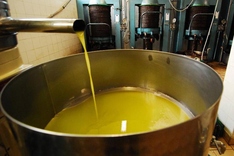 Altroconsumo, rincari olio extravergine oliva, arriva test comparativo per risparmiare