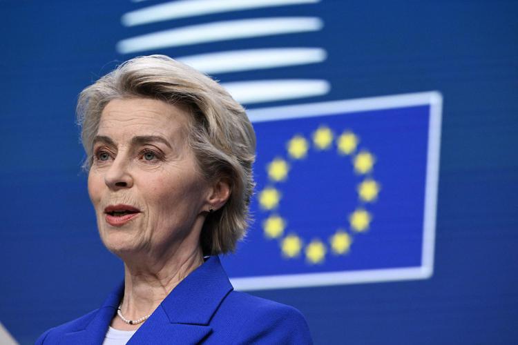 Von der Leyen (Afp)