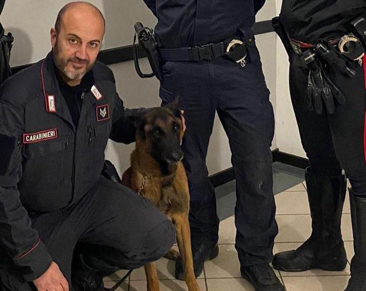 Il cane Cooper con un carabiniere